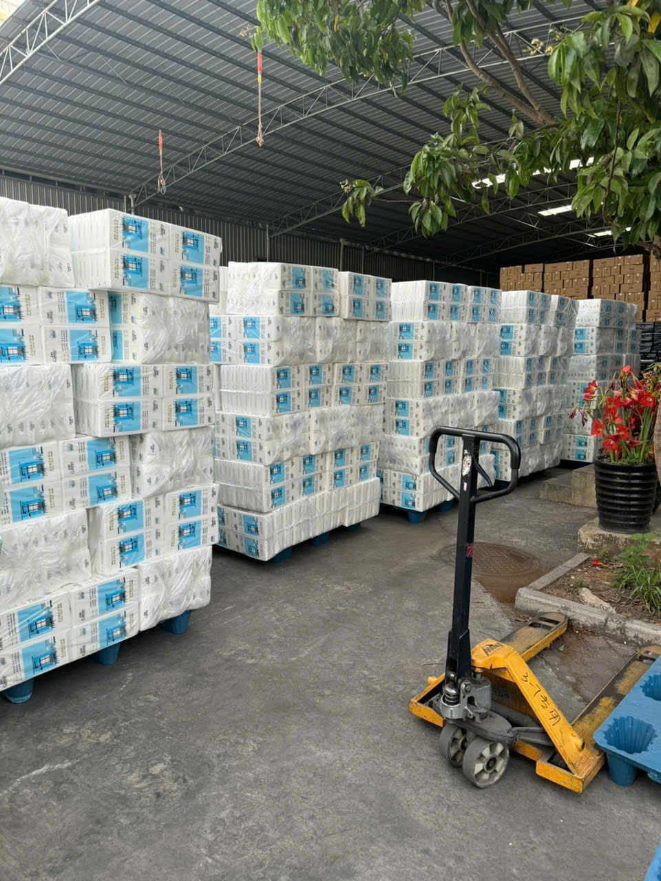 Tổng Kho Phân Phối Giấy Caitong Cao Cấp Tại Việt Nam